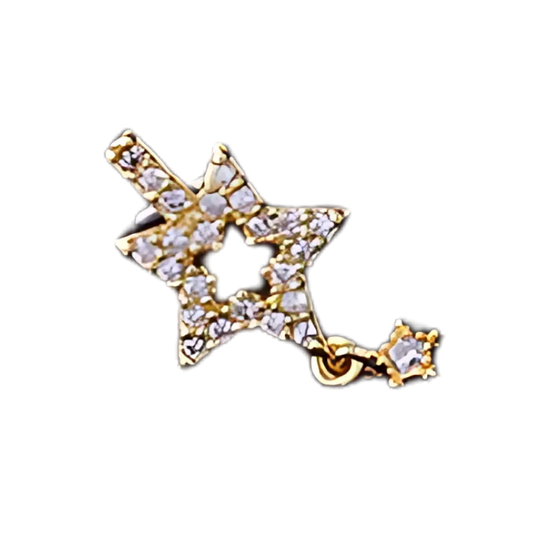 Celeb Nose Ring